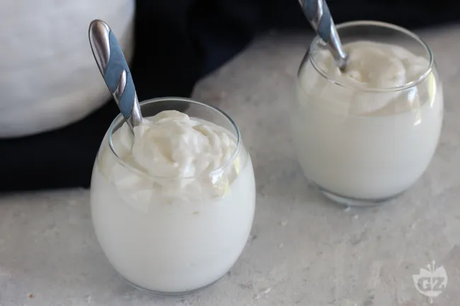 Crema allo yogurt per farciture